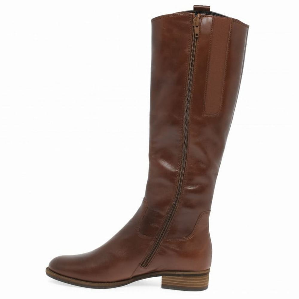 Gabor Brook S Women's Knee-high Boots Brown | GB98SVOHL