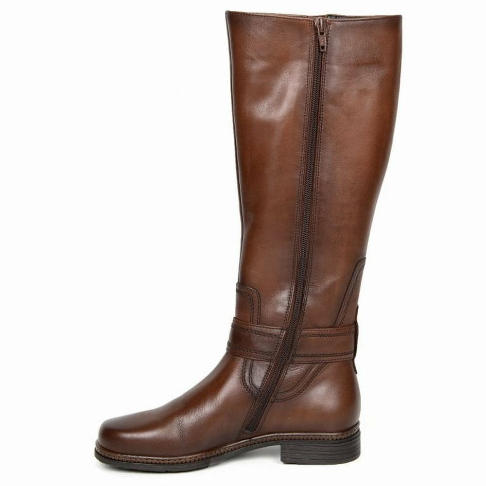 Gabor Nevada (M) Women's Knee-high Boots Brown | GB40CSMZR